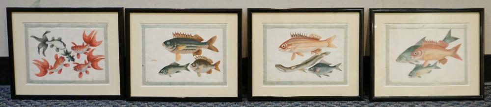 Appraisal: Four Chinese Paintings on Rice Paper of Fish Frame x