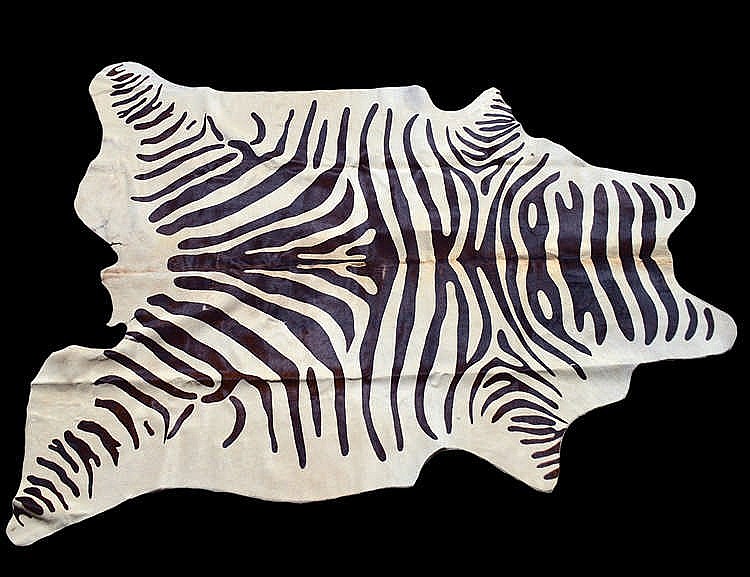 Appraisal: ZEBRA SKIN RUGLength Width Cond minor areas of wear to