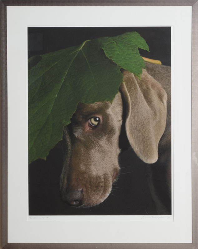 Appraisal: WILLIAM WEGMAN b GREEN BERET Digital pigment print signed titled