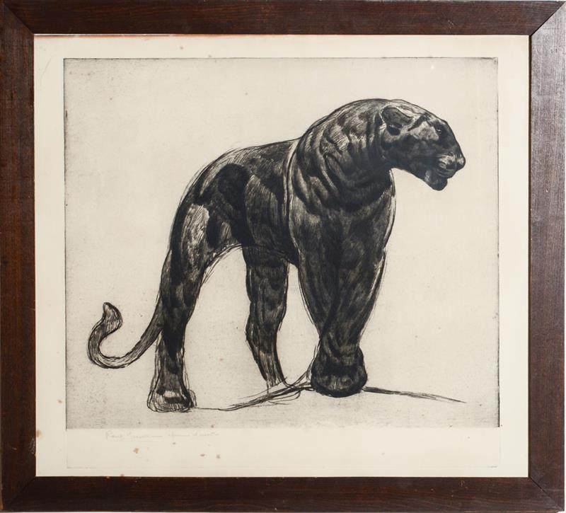 Appraisal: PAUL JOUVE - PANTHER Etching on wove paper with margins