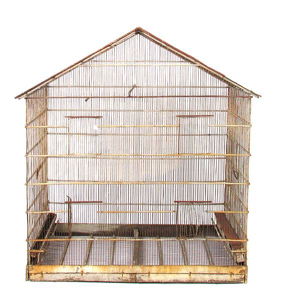 Appraisal: A large Continental wire work bird cage height in width