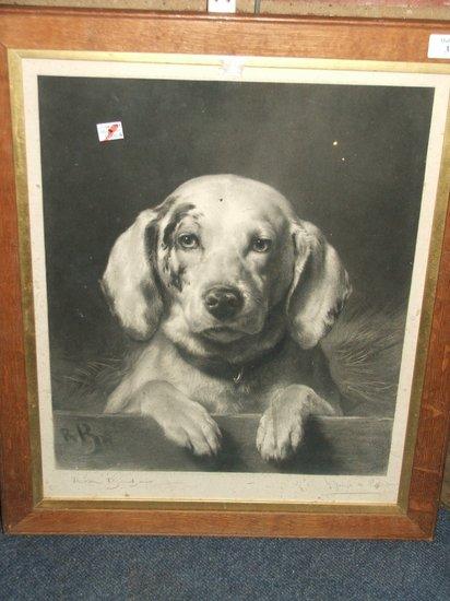 Appraisal: AFTER ROSA BONHEUR - Head study of a labrador engraving