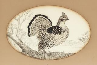 Appraisal: Charles E Shang Wheeler - Grouse pen and ink by