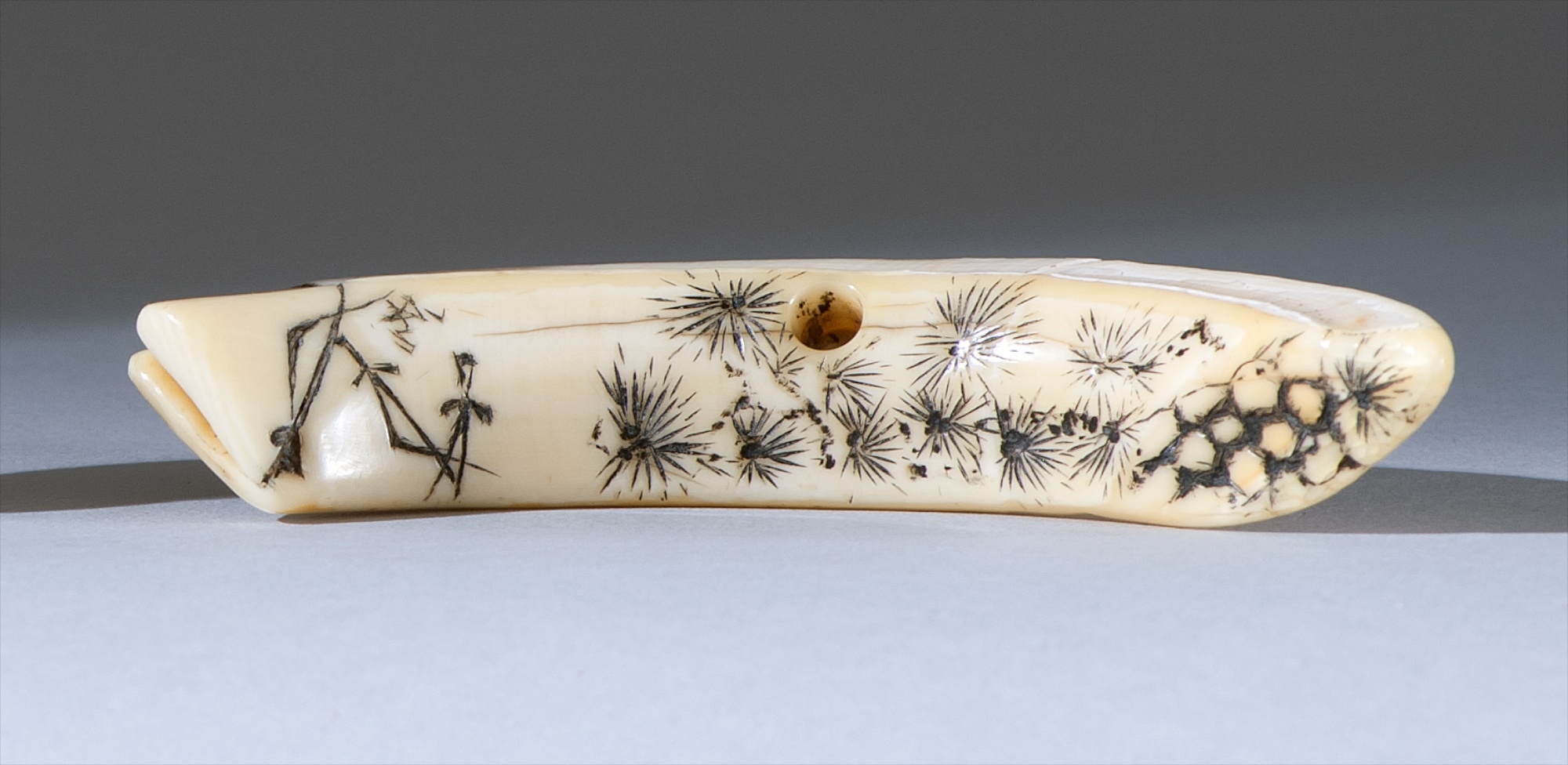 Appraisal: IWAMI SCHOOL BOAR'S-TUSK NETSUKE th CenturyWith pine tree design Length