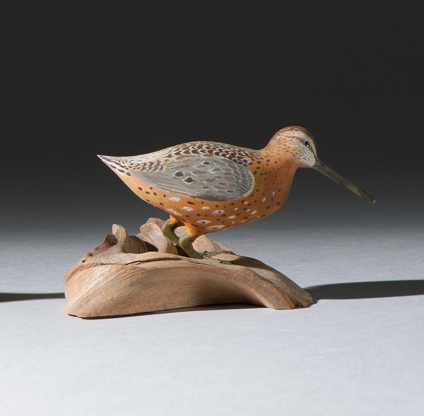 Appraisal: MINIATURE EASTERN DOWITCHER By Harold Gibbs of Barrington Rhode Island