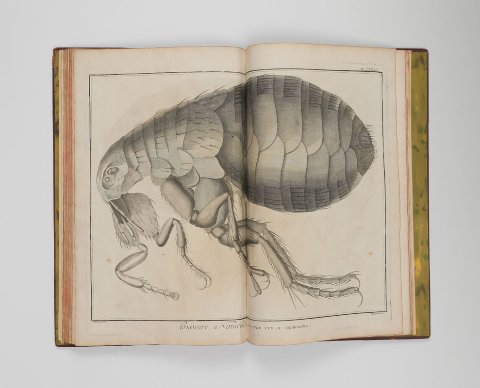 Appraisal: DIDEROT Denis French - Volume of ''Histoire Naturelle'' from Encyclopedie