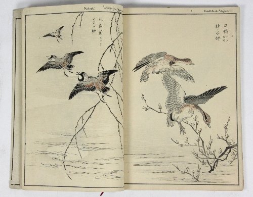 Appraisal: Mayegaida Bunrino Birds in branches shrubs etc sixty seven Meiji