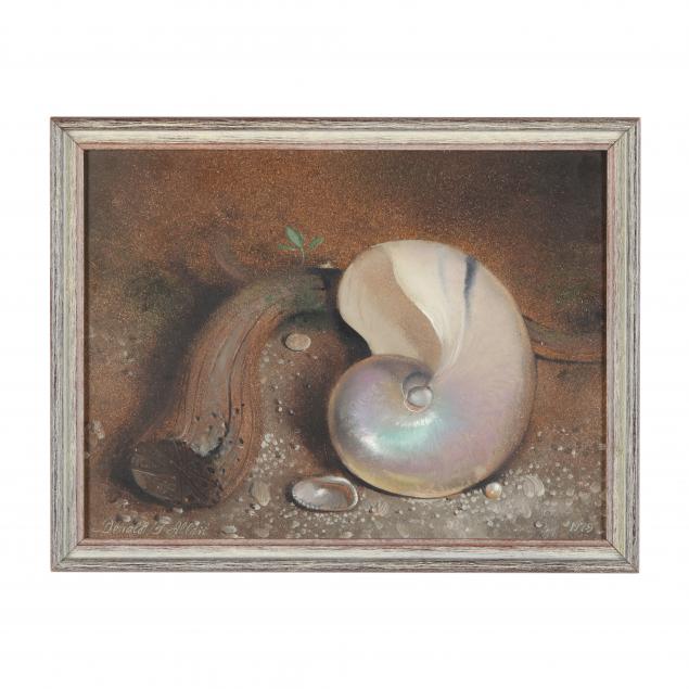 Appraisal: DONALD F ALLAN AMERICAN - STILL LIFE WITH NAUTILUS SHELL