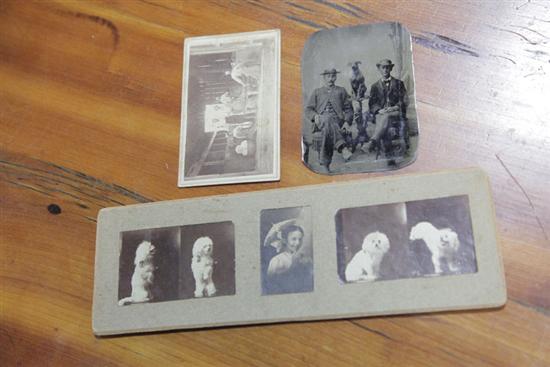 Appraisal: THREE ANTIQUE PHOTOGRAPHS WITH ANIMALS A tintype depicting two dapper