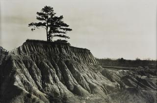 Appraisal: Photograph Walker Evans Walker Evans American - Soil Erosion circa