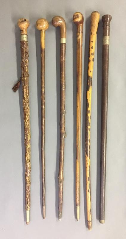 Appraisal: Six Walking Sticks Six walking sticks one with skull and