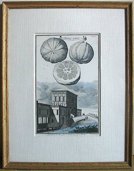 Appraisal: Four German framed hand colored citrus and architectural prints Nuremberg