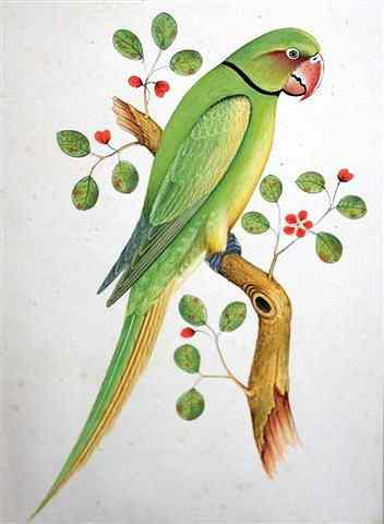 Appraisal: FOLLOWER OF JOHN GOULDStudy of a parrot perched on a