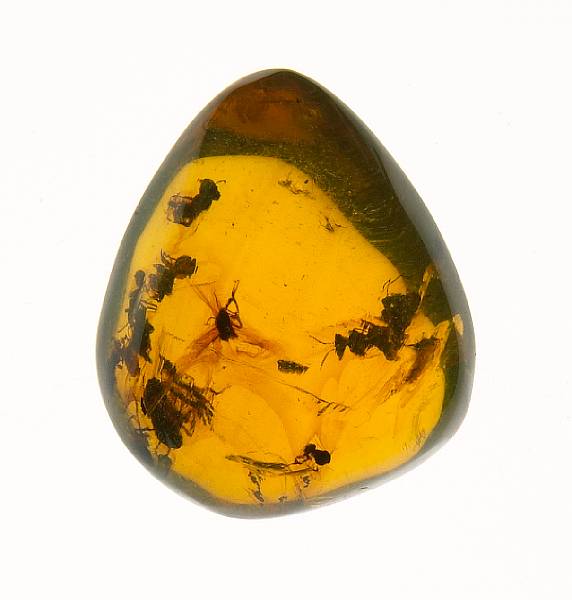 Appraisal: Bee Swarm in Rare Green Amber Dominican Republic A fully