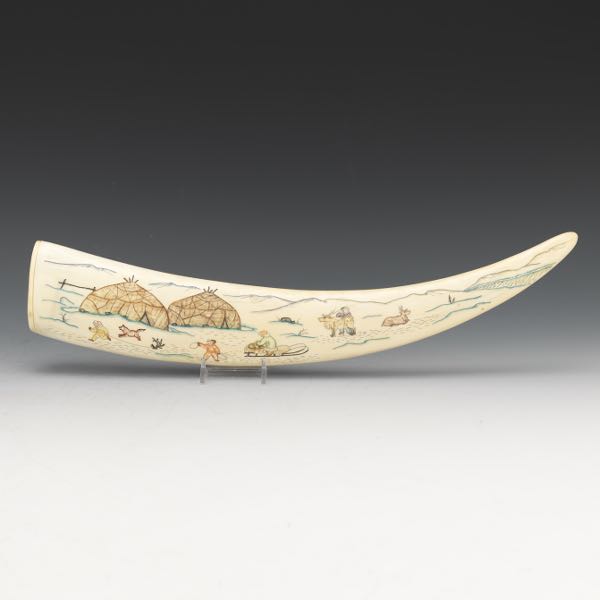 Appraisal: CARVED WALRUS SCRIMSHAW long x at widest point Carved scrimshaw