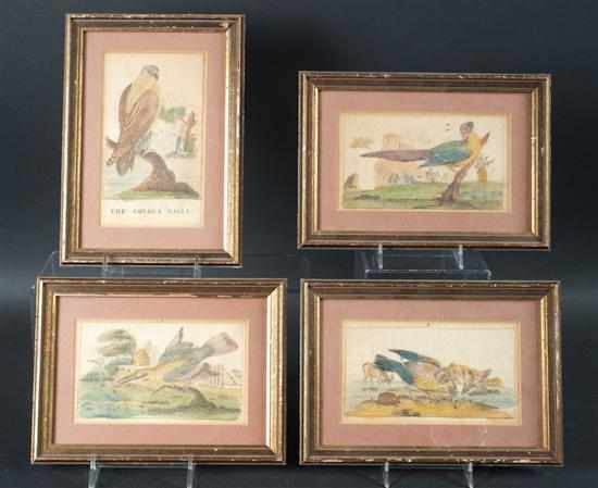 Appraisal: Set of four hand colored ornithological etchings framed early th