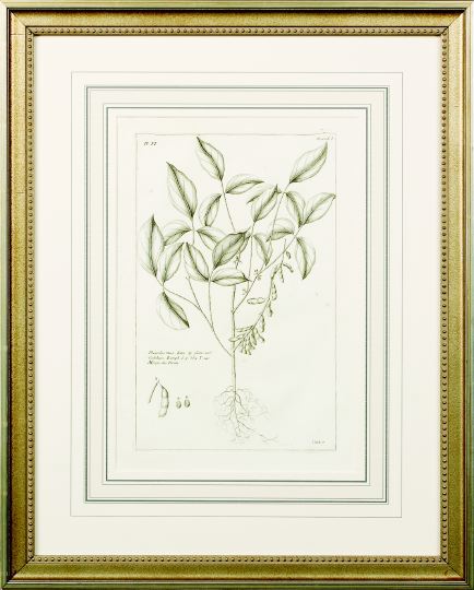 Appraisal: French School Fourth Quarter th Century Tree Studies suite of