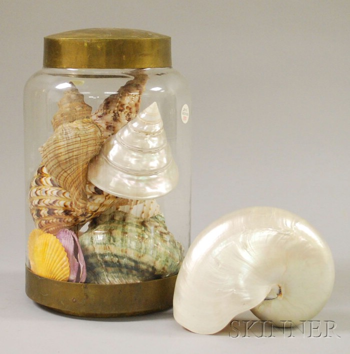 Appraisal: Brass-mounted Glass Jar with Ten Exotic Seashells