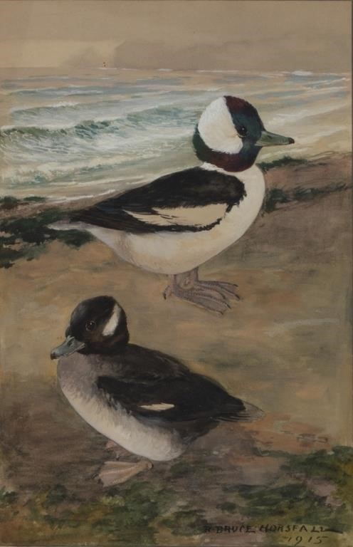 Appraisal: Buffleheads signed and dated R Bruce Horsfall lower right watercolor