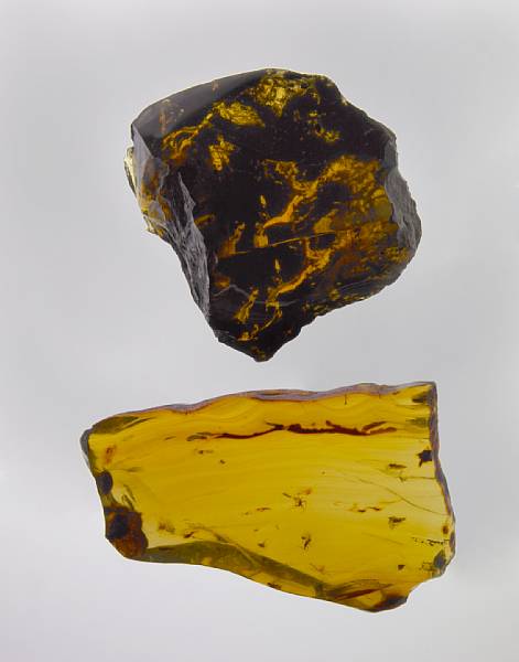 Appraisal: Two Dominican Green Amber Display Pieces Oligocene La Toca Mines