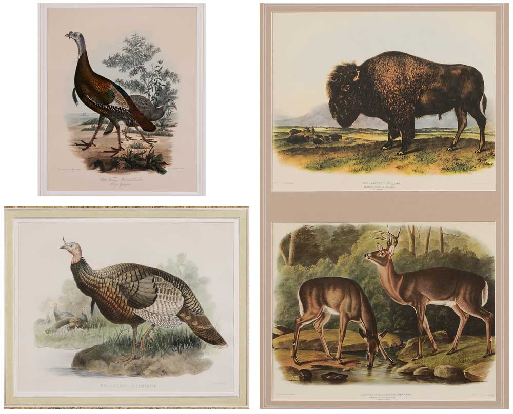 Appraisal: Two Turkey Prints th century Wild Turkey Male and Female