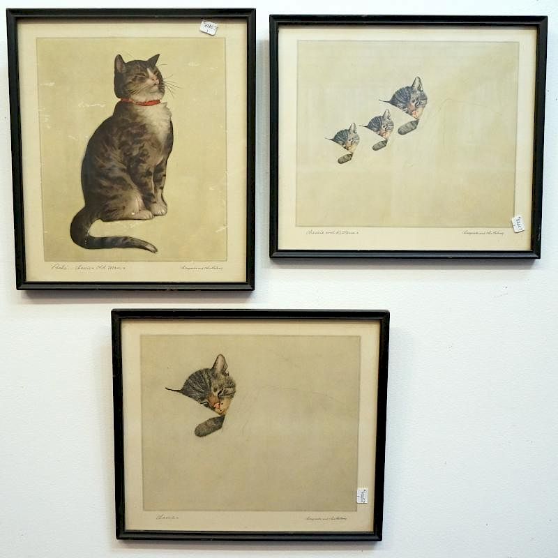 Appraisal: Three Framed Cat Prints Three Framed Cat Prints Dimensions X