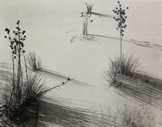 Appraisal: Photograph Brett Weston Brett Weston American - PL White Sands