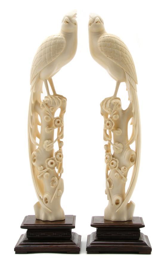 Appraisal: Pair of Carved Ivory Birds on Branches each bird perched