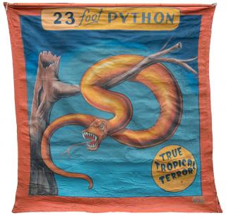 Appraisal: Twenty-Three Foot Python True Tropical Terror Meah Studios Johnny Meah