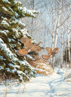 Appraisal: Richard Plasschaert b Ruffed Grouse signed and dated Plasschaert '