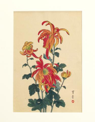 Appraisal: Watanabe Seitei - Orange and Yellow Flowers c s Color