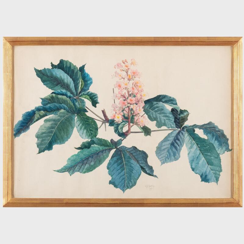 Appraisal: G D thorey Blooming Chestnut and Study of Autumn Leaves