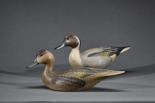 Appraisal: Pintail Pair Oliver Tuts Lawson b Pintail PairOliver Tuts Lawson