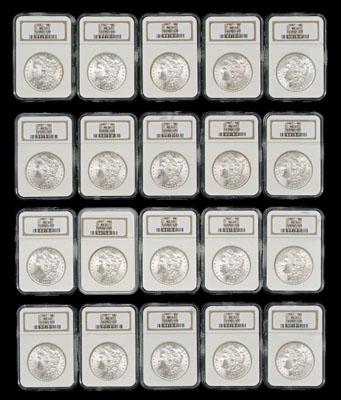 Appraisal: BU Morgan silver dollars all NGC slabbed and graded MS-