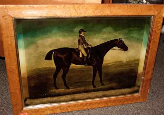 Appraisal: Color print of a horse and jockey in bird's-eye maple