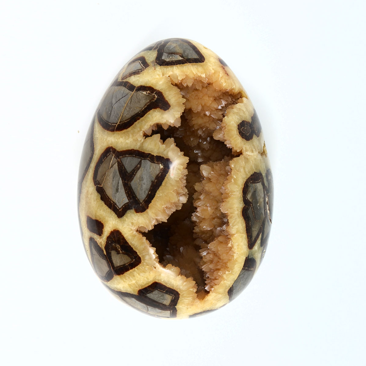 Appraisal: EGG SHAPED SEPTARIAN GEODE Polished Septarian geode in the form