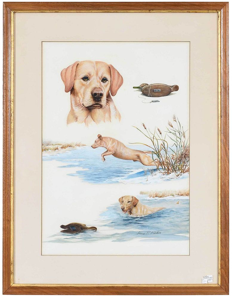 Appraisal: James P Fisher American th century Yellow Labrador signed lower