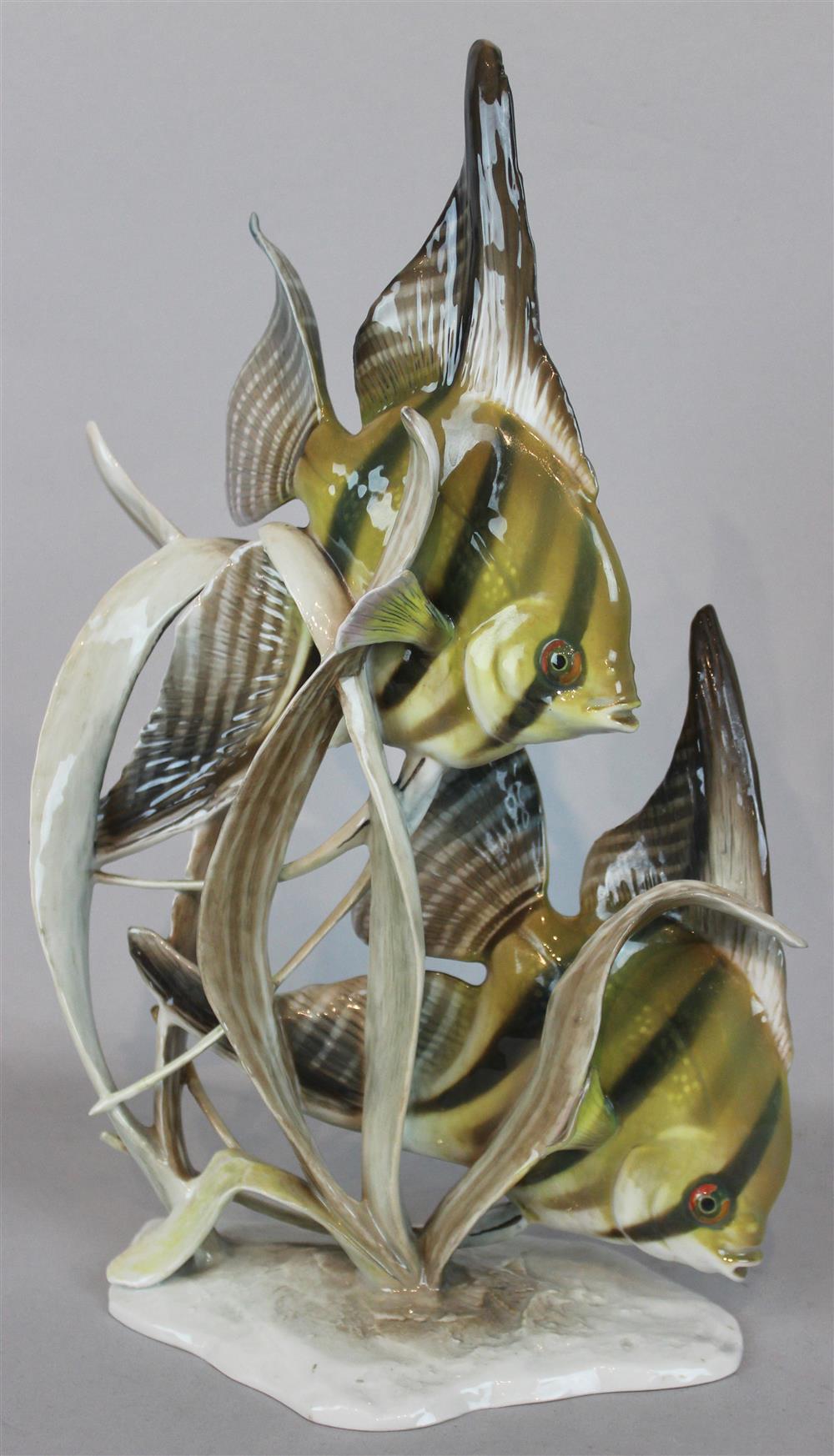 Appraisal: ROSENTHAL PORCELAIN ANGELFISH GROUP BY FRITZ HEIDENREICH with Rosenthal Germany