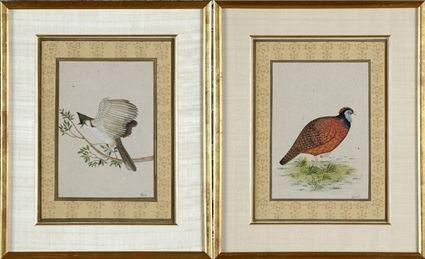 Appraisal: Indian School th C Two Birds Watercolor on paper signed