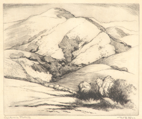 Appraisal: WILLIAM RICE Etching California Foothills Matted and framed Pencil titled