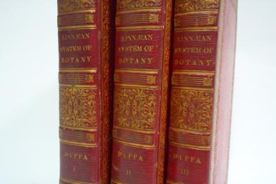 Appraisal: Duppa Richard The Classes and Orders of the Linnaean System