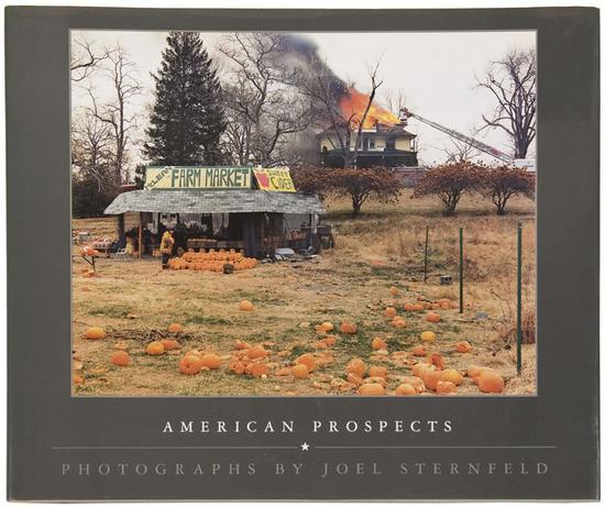 Appraisal: Joel Sternfeld b American Prospects New York Times Books The