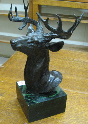 Appraisal: BRONZE WILDLIFE BUST SCULPTURE the study of a trophy buck