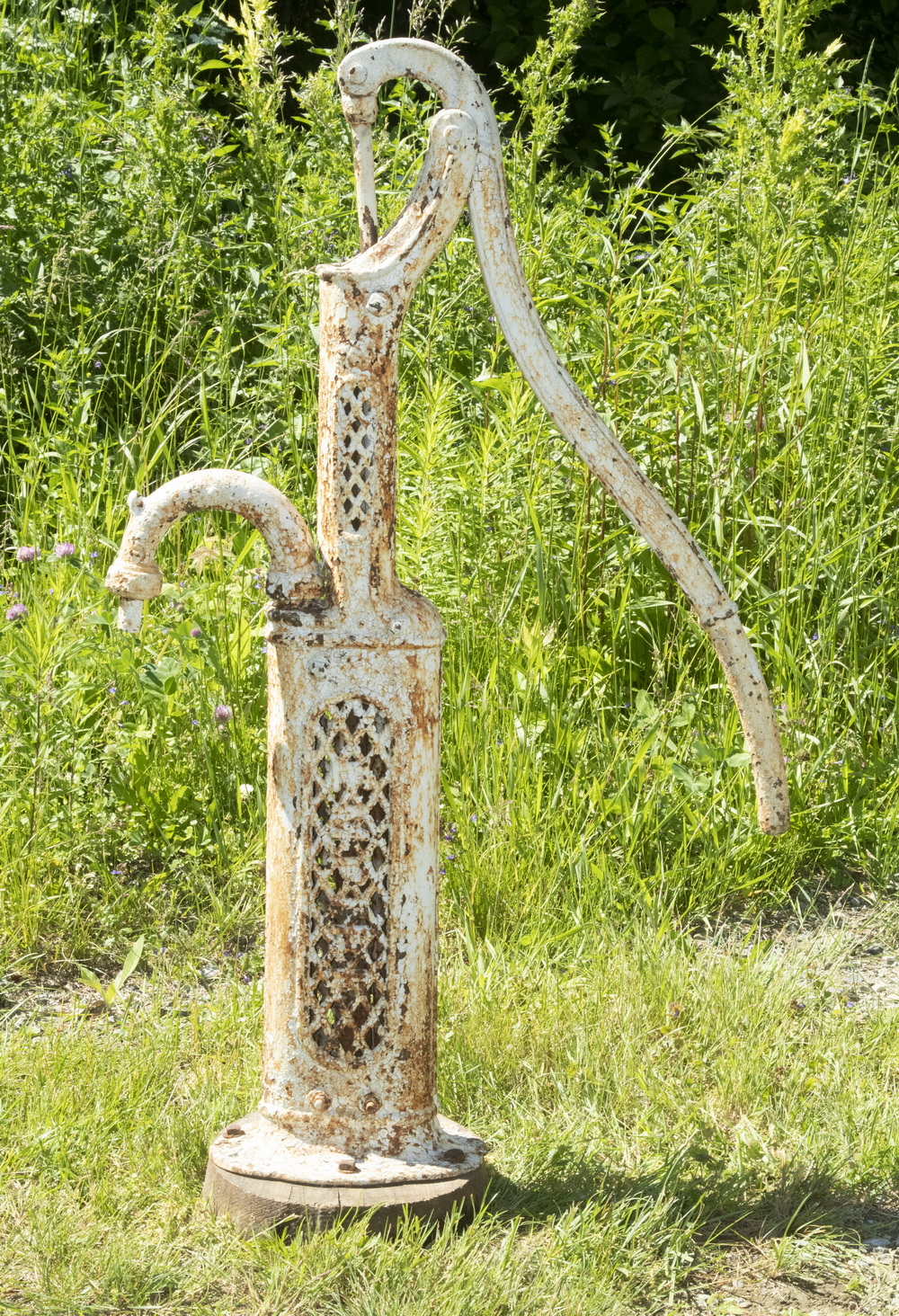 Appraisal: VICTORIAN IRON WATER PUMP Late th c Painted Cast Iron