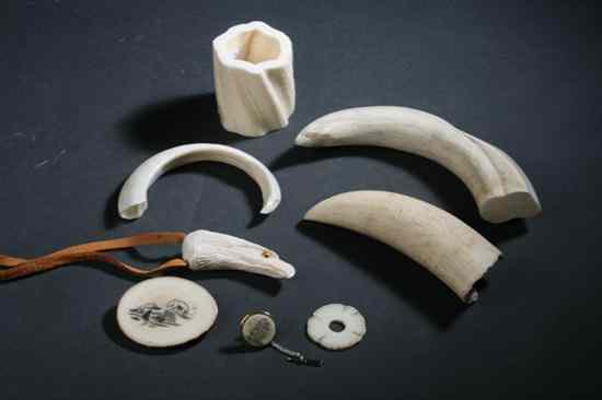 Appraisal: COLLECTION IVORY Including two Narwhal tusk sections two sperm whale