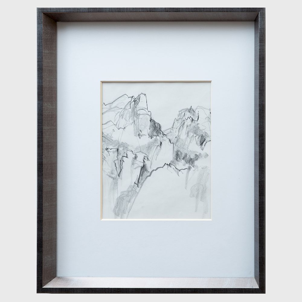 Appraisal: Cornelia Parker b Untitled Pencil on paper signed 'Cornelia' lower