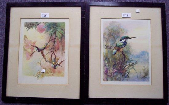 Appraisal: W E PowellKingfisher Hummingbirds signed and datedwatercolour cm x cm