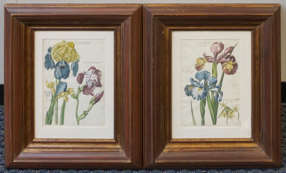 Appraisal: Pair th Century Engravings of Irises Framed x in x