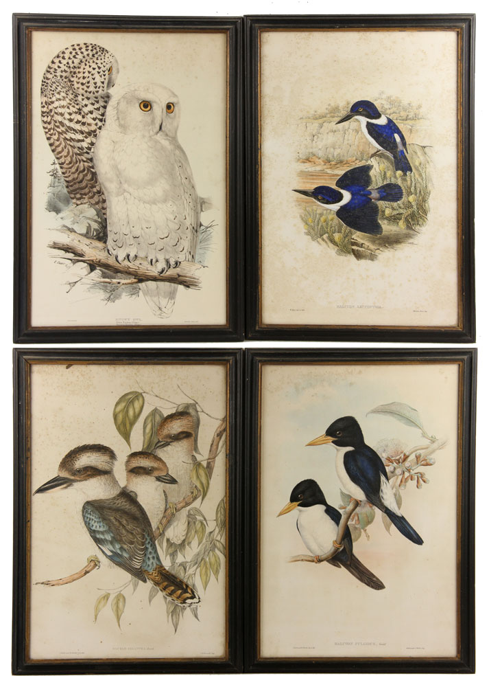 Appraisal: - th C Hand Colored Prints of Birds th century