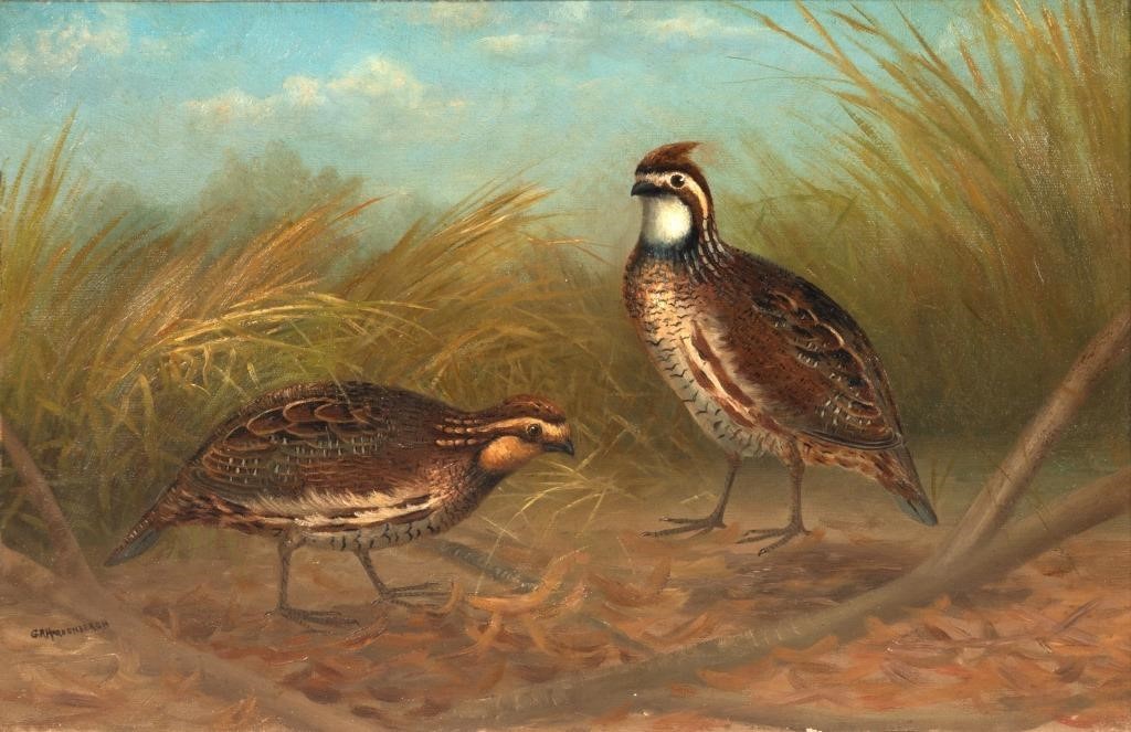 Appraisal: GERARD R HARDENBERGH - Quail signed G R Hardenbergh lower